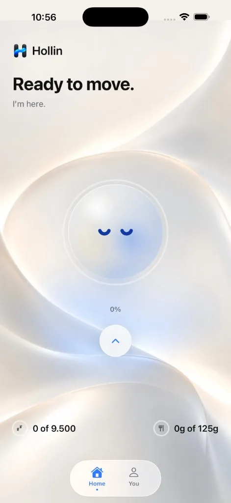 Hollin home on iPhone. The companion is calm, and the day is just starting.